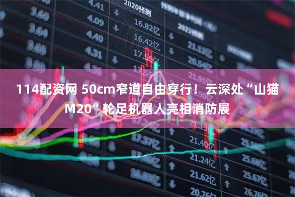 114配资网 50cm窄道自由穿行！云深处“山猫M20”轮足机器人亮相消防展
